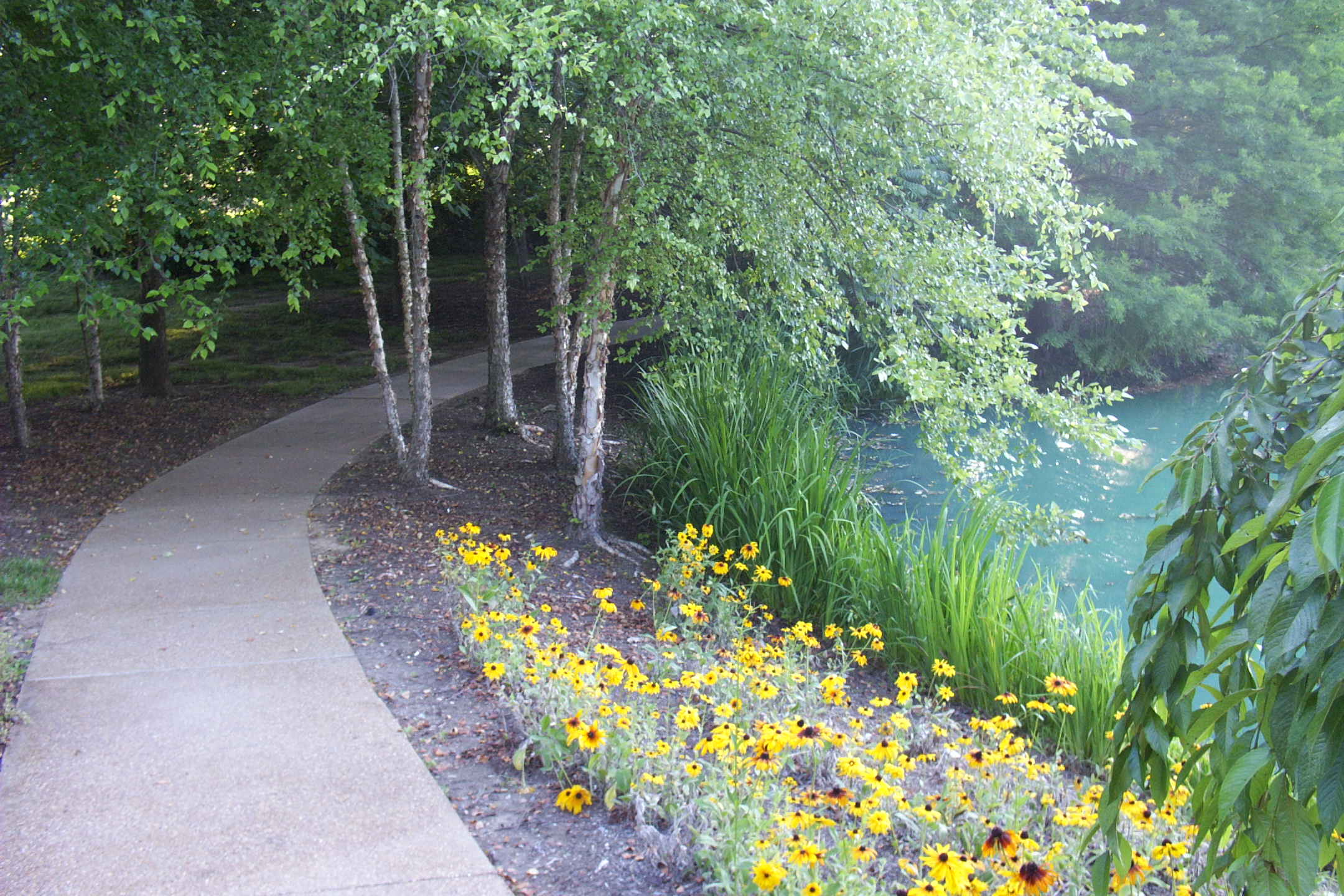 Cracker Barrel Old Country Stores Corporate Headquarters Lose Design